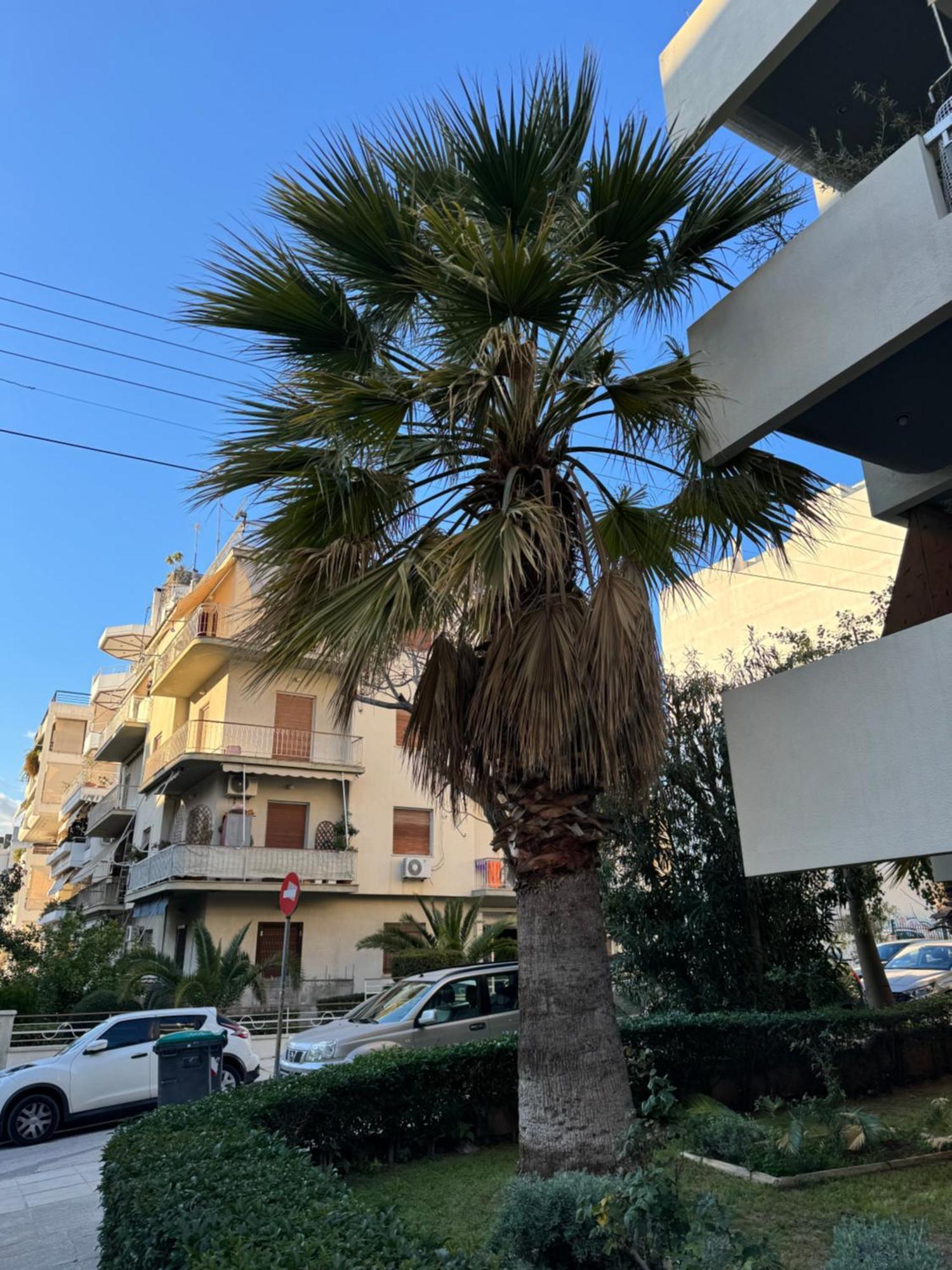 Cozy Home In Nea Smirni Athens Ngoại thất bức ảnh